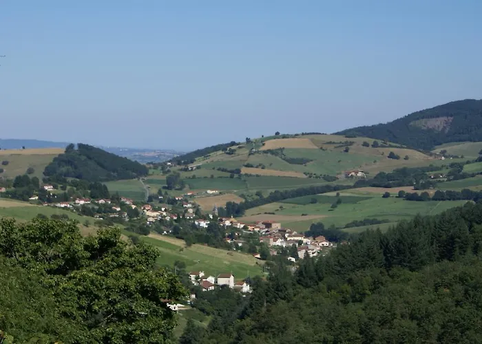 Bed & Breakfast Chateau De Ronziere Saint-Forgeux