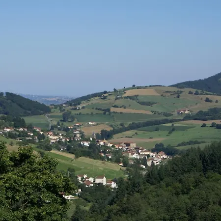 Bed & Breakfast Chateau De Ronziere Saint-Forgeux