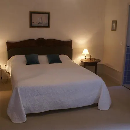 Bed & Breakfast Chateau De Ronziere 3*
